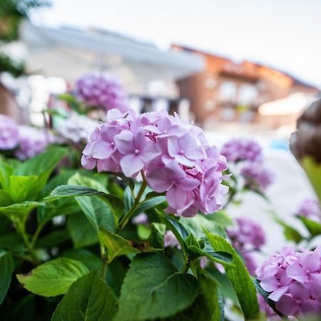 Villa Biser Dunava Vukovar Esterno foto